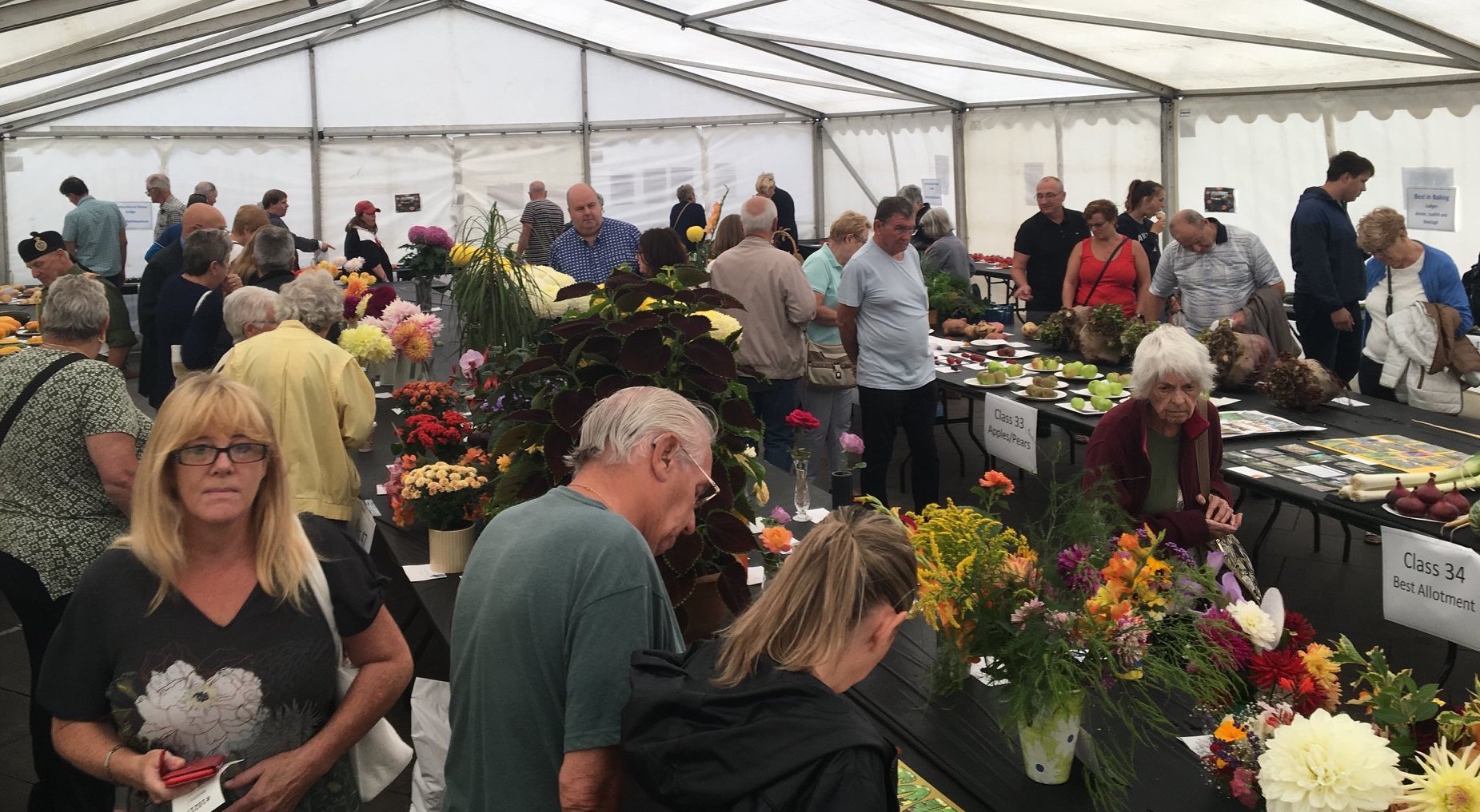 Garden and craft show organisers hoping every little helps to grow