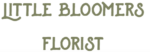 Little Bloomers Florist