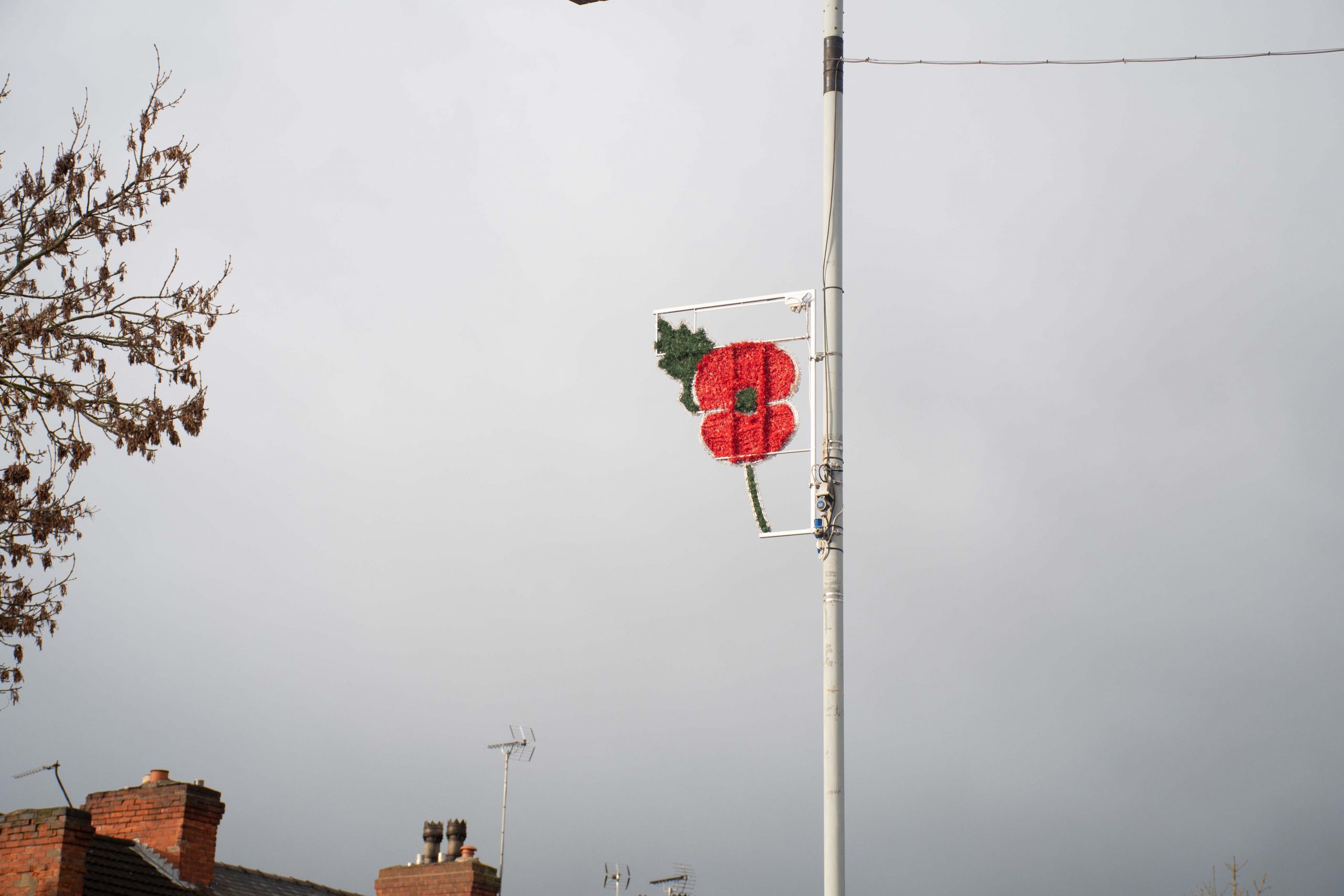 Lights for Remembrance Mansfield, Ashfield & Sherwood News Journal